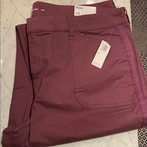 Eggplant pixie pants